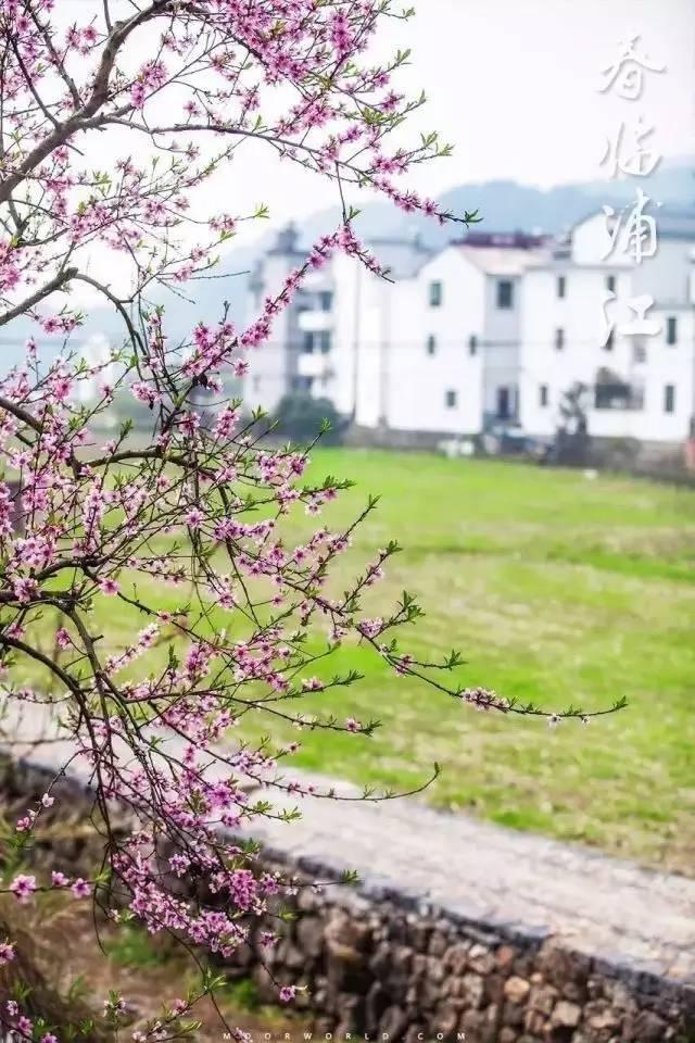 浙江最美的古村，全在浦江～