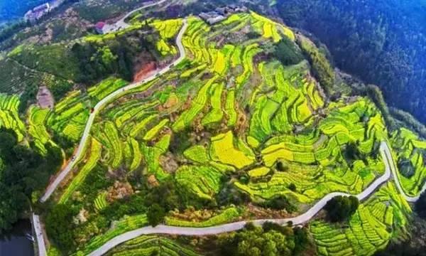 浙江最美的古村，全在浦江～