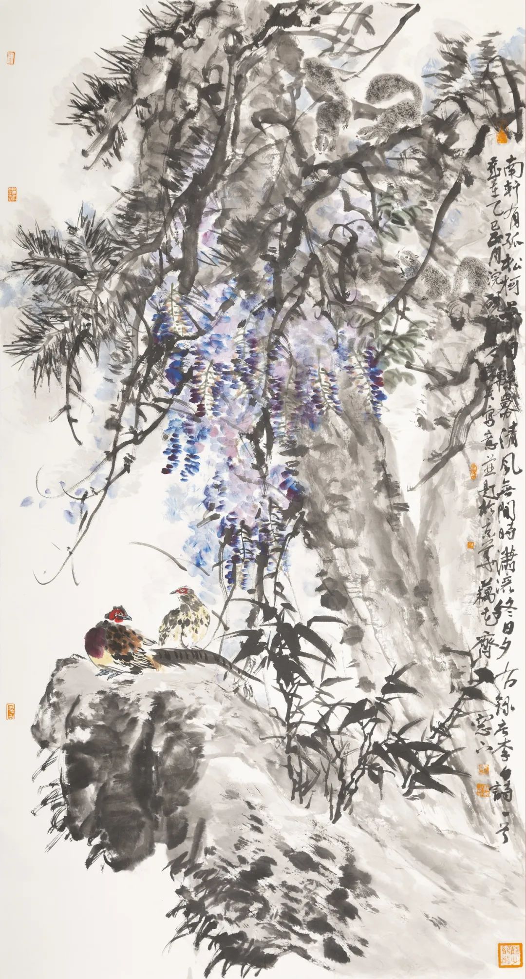 圖片