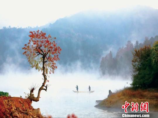 浙江浦江鄉(xiāng)村逆襲記：精耕細(xì)作煥新顏 青山綠水入畫來。浦江縣農(nóng)辦提供