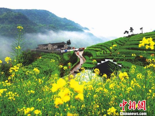 浙江浦江鄉(xiāng)村逆襲記：精耕細(xì)作煥新顏 青山綠水入畫來。浦江縣農(nóng)辦提供